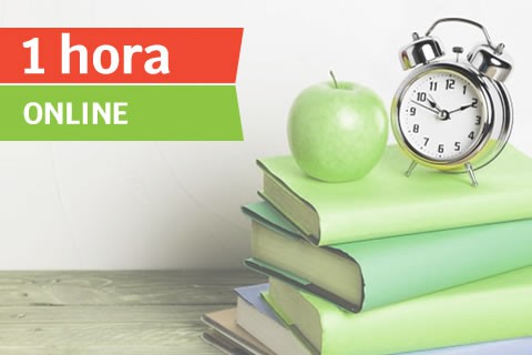 Clase Online de Primaria (1 hora)