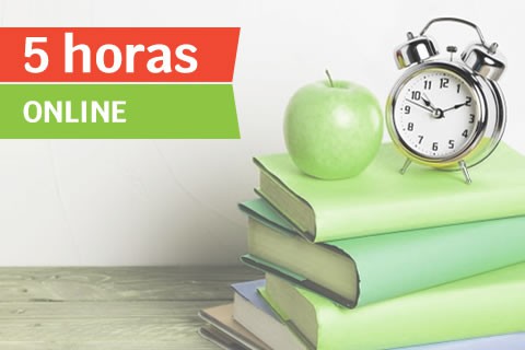 Clase Online de Primaria (5 horas)