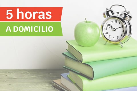 Clase a Domicilio de Primaria (5 horas)